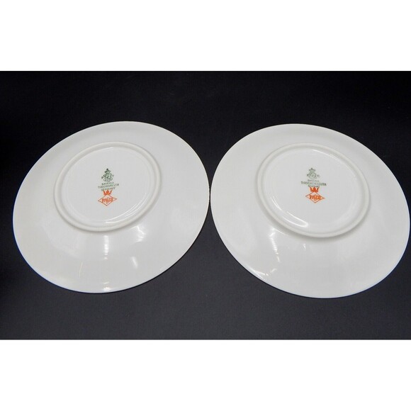 Tirschenreuth Bavaria The Elgin Teacup And Saucer Germany Silver Set/2 - Picture 8 of 9